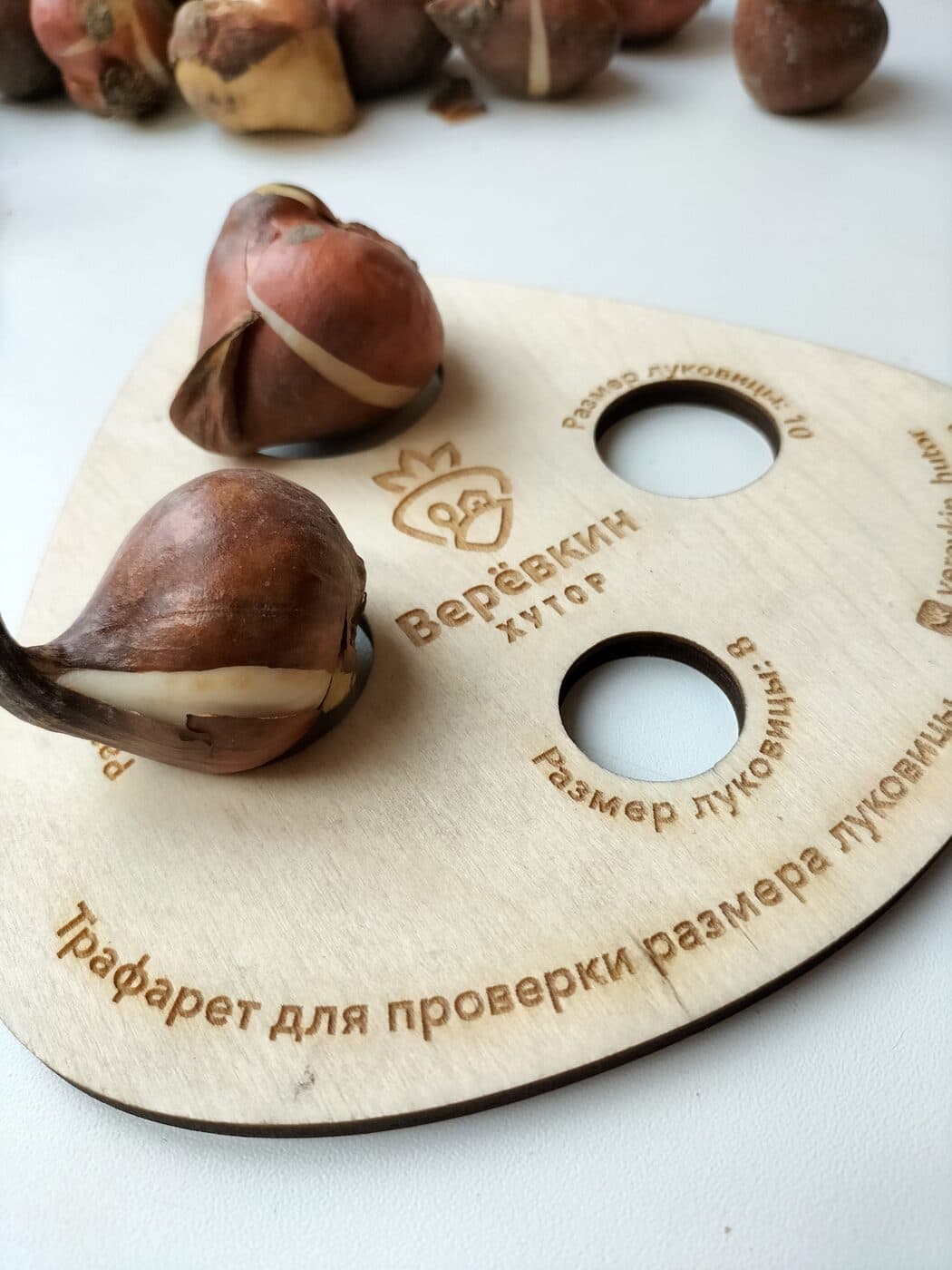 Теплицы и выгонка